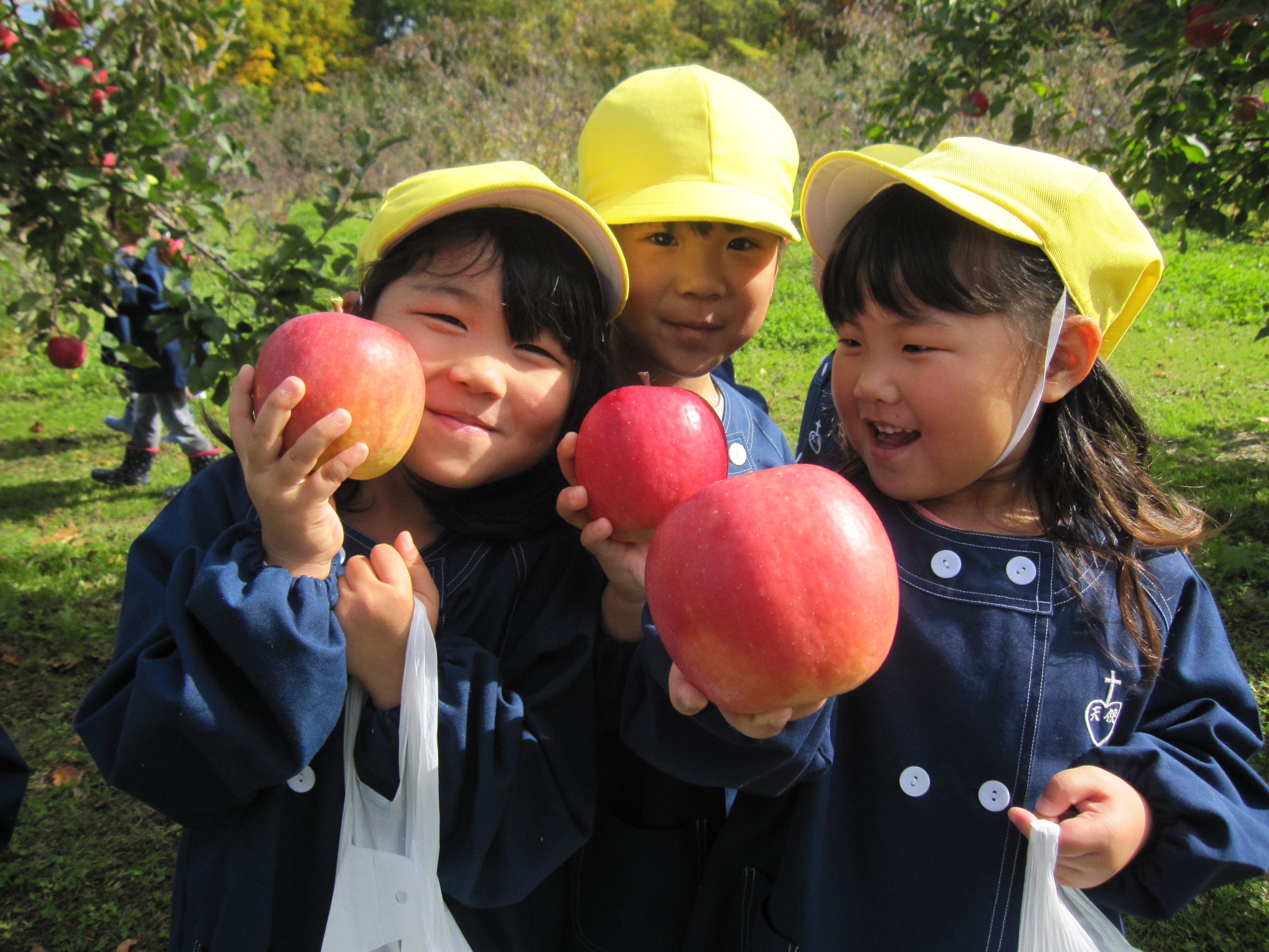 学校法人旭川カトリック学園 旭川天使幼稚園 画像2